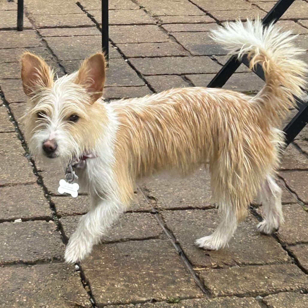 Coco