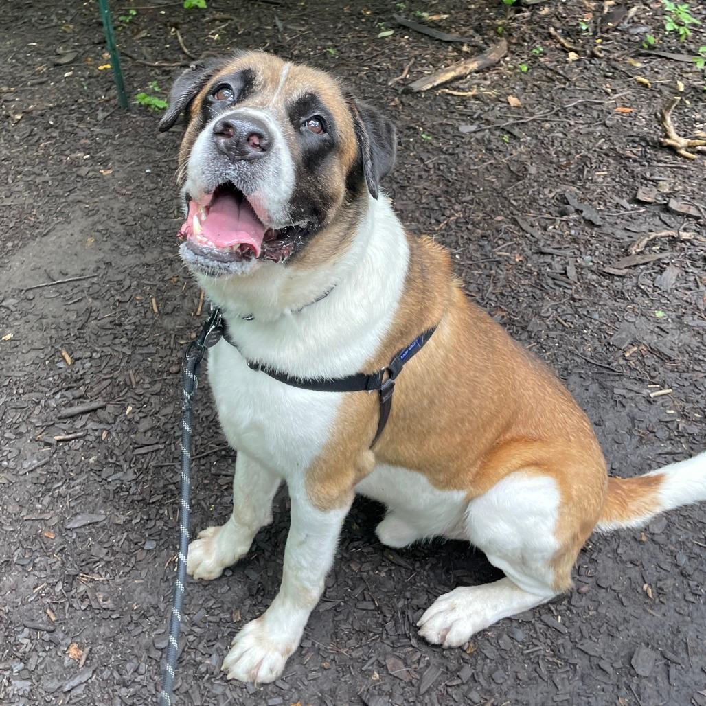 Roscoe