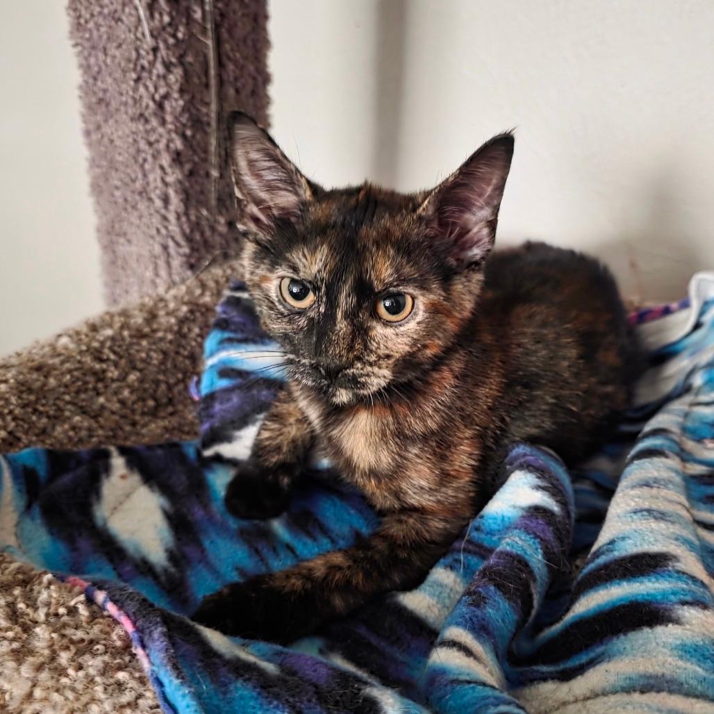 Ramona