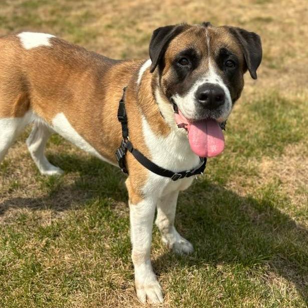 Roscoe