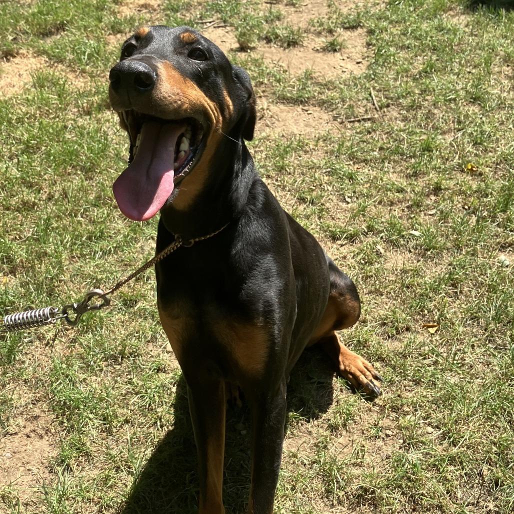Mia 