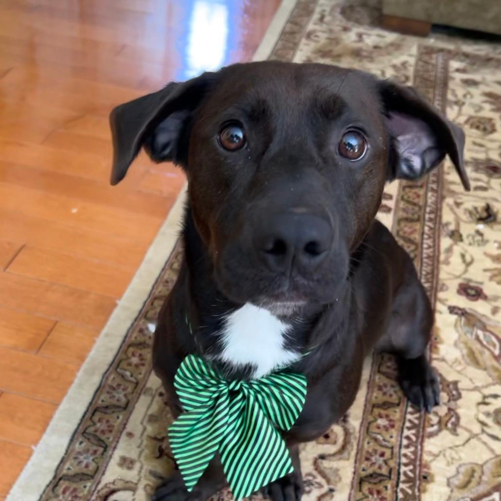 Samson