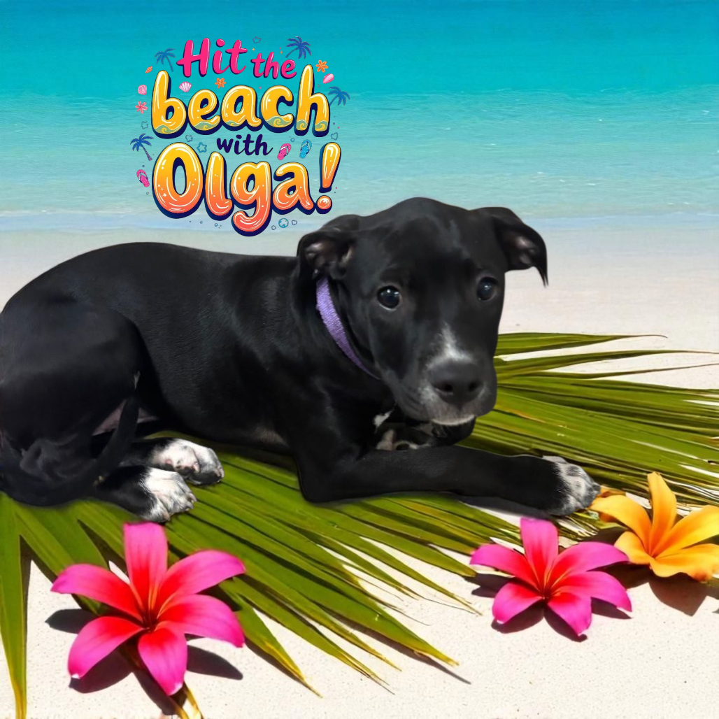 Picture of Olga