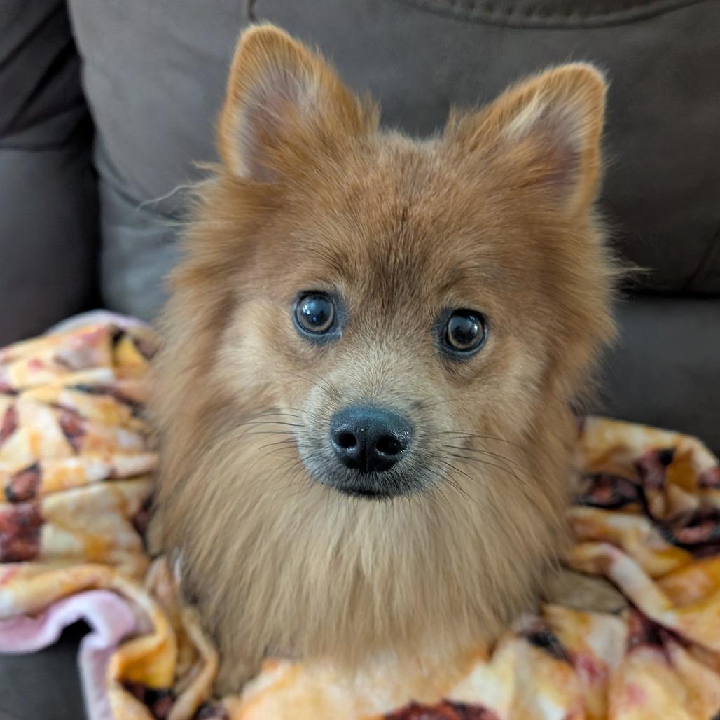 Leo