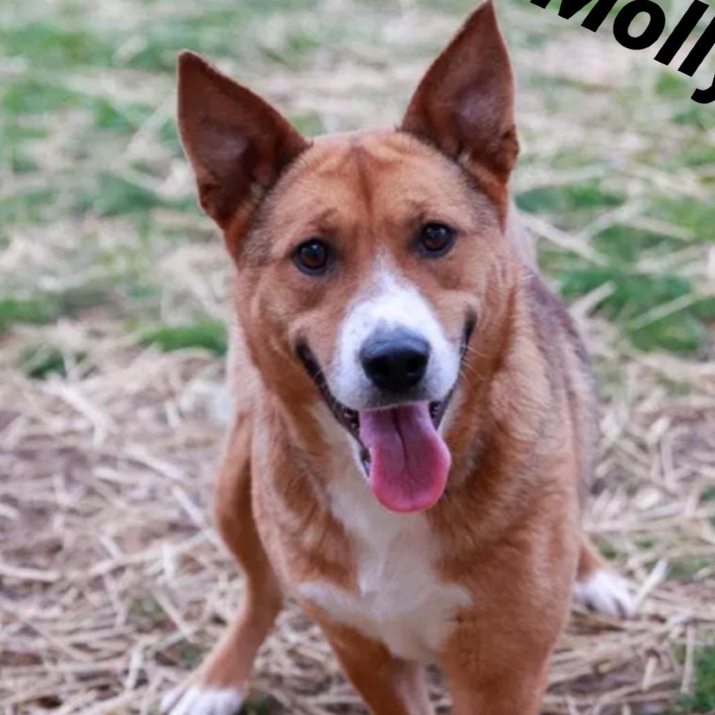 Molly