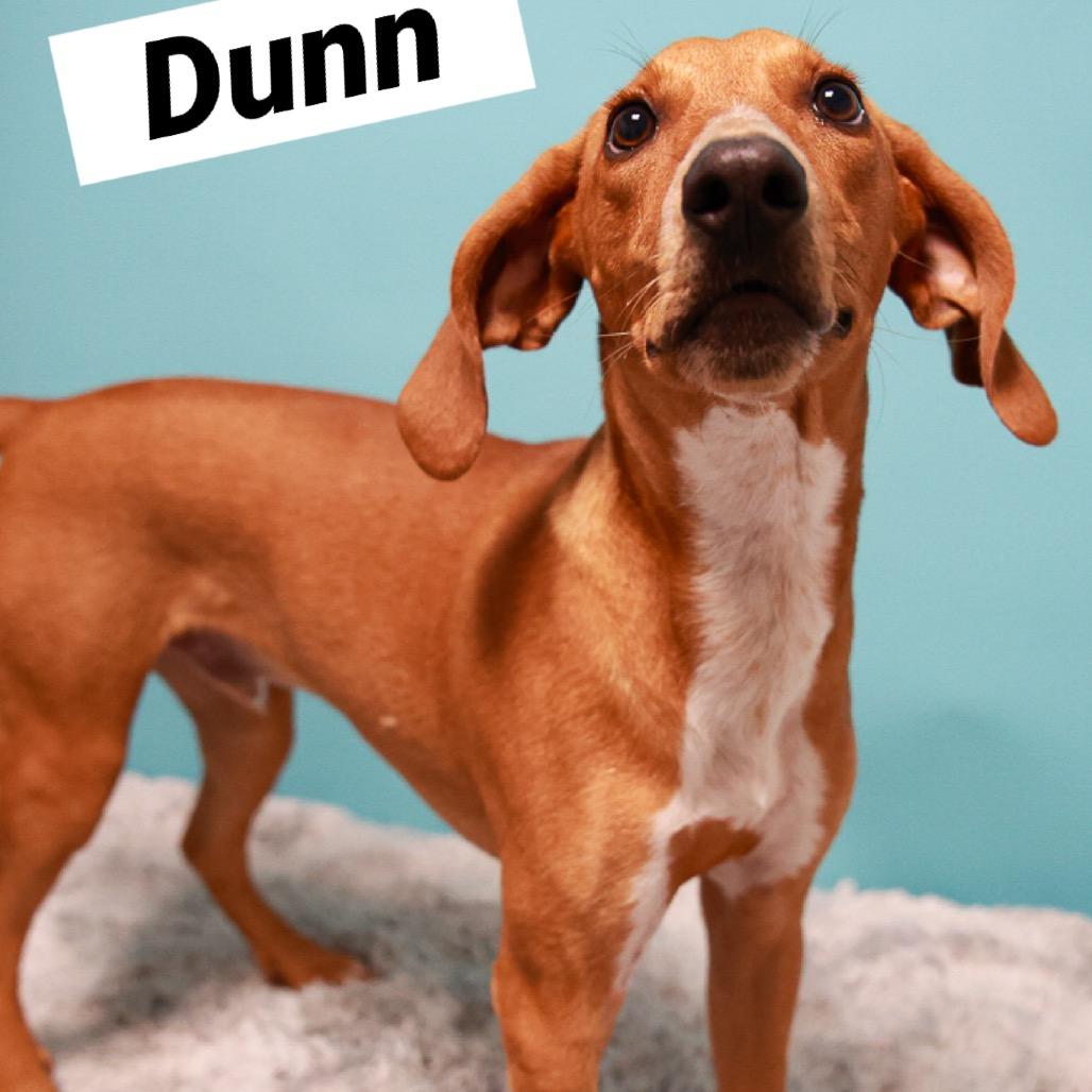 Dunn