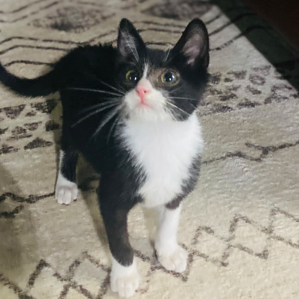 Teeny