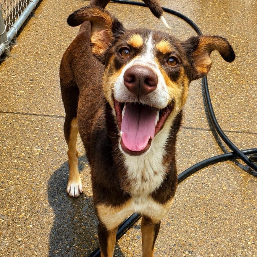 Sunny fka Athena 