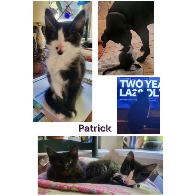 Patrick