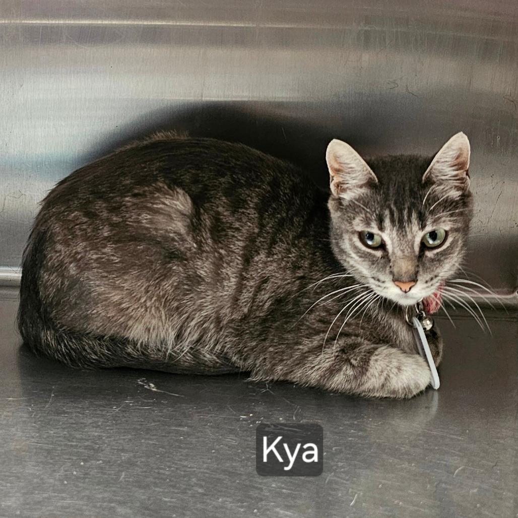 Kya