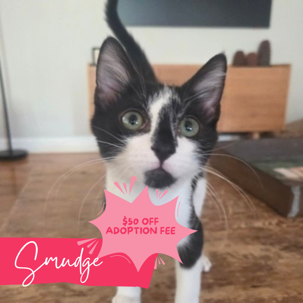 Smudge