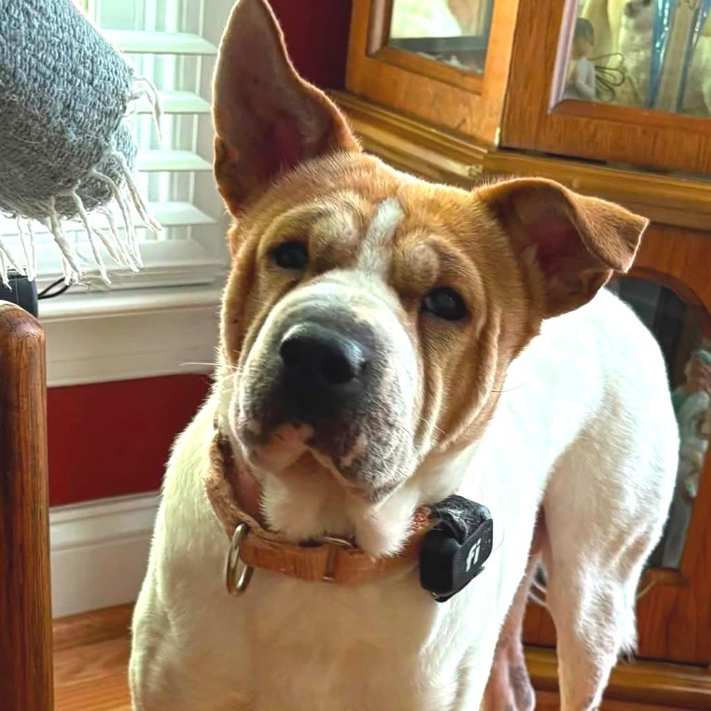 Walter