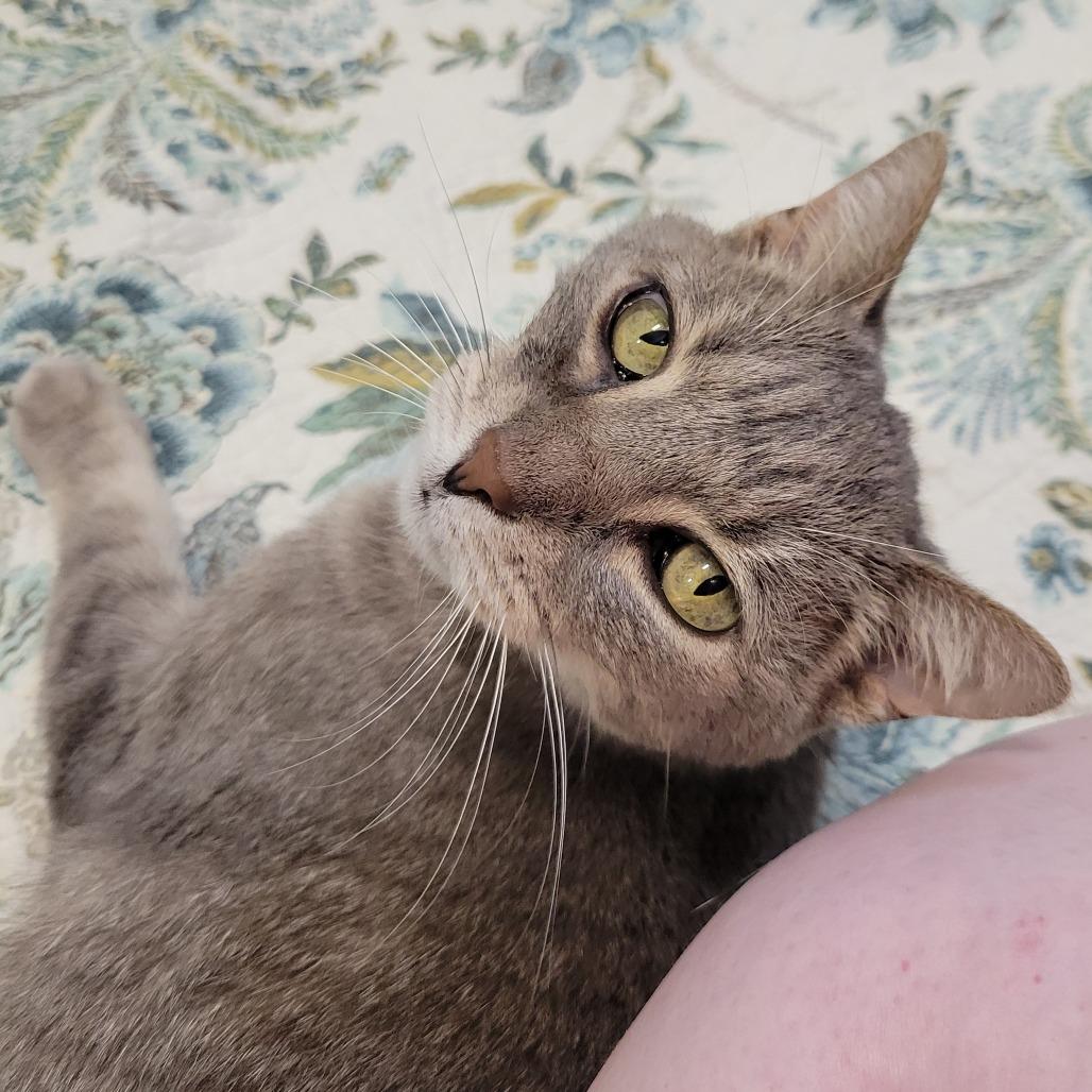 Izzy