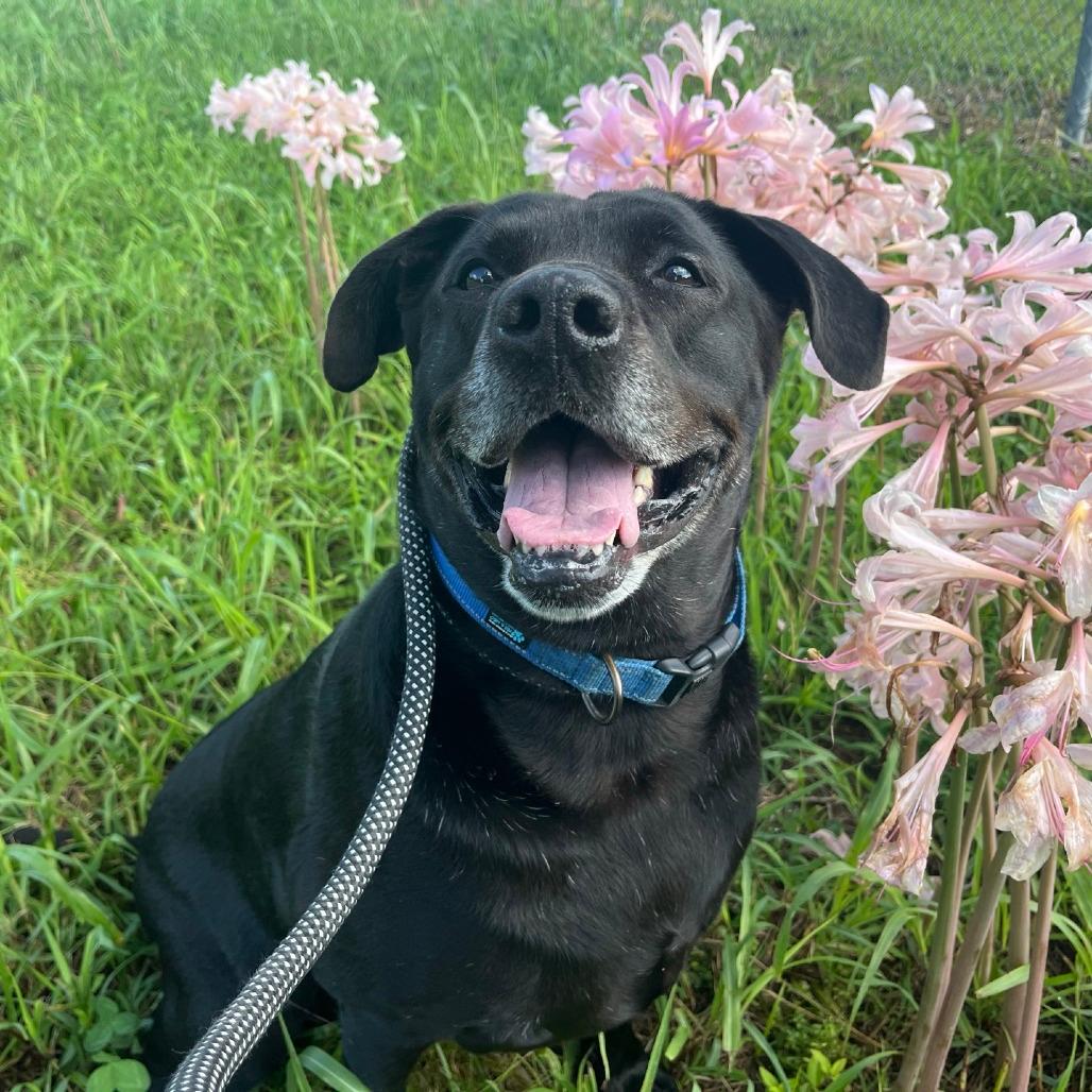Sammy