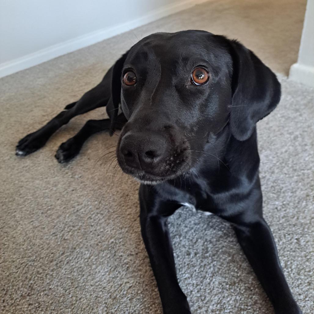 Roxy