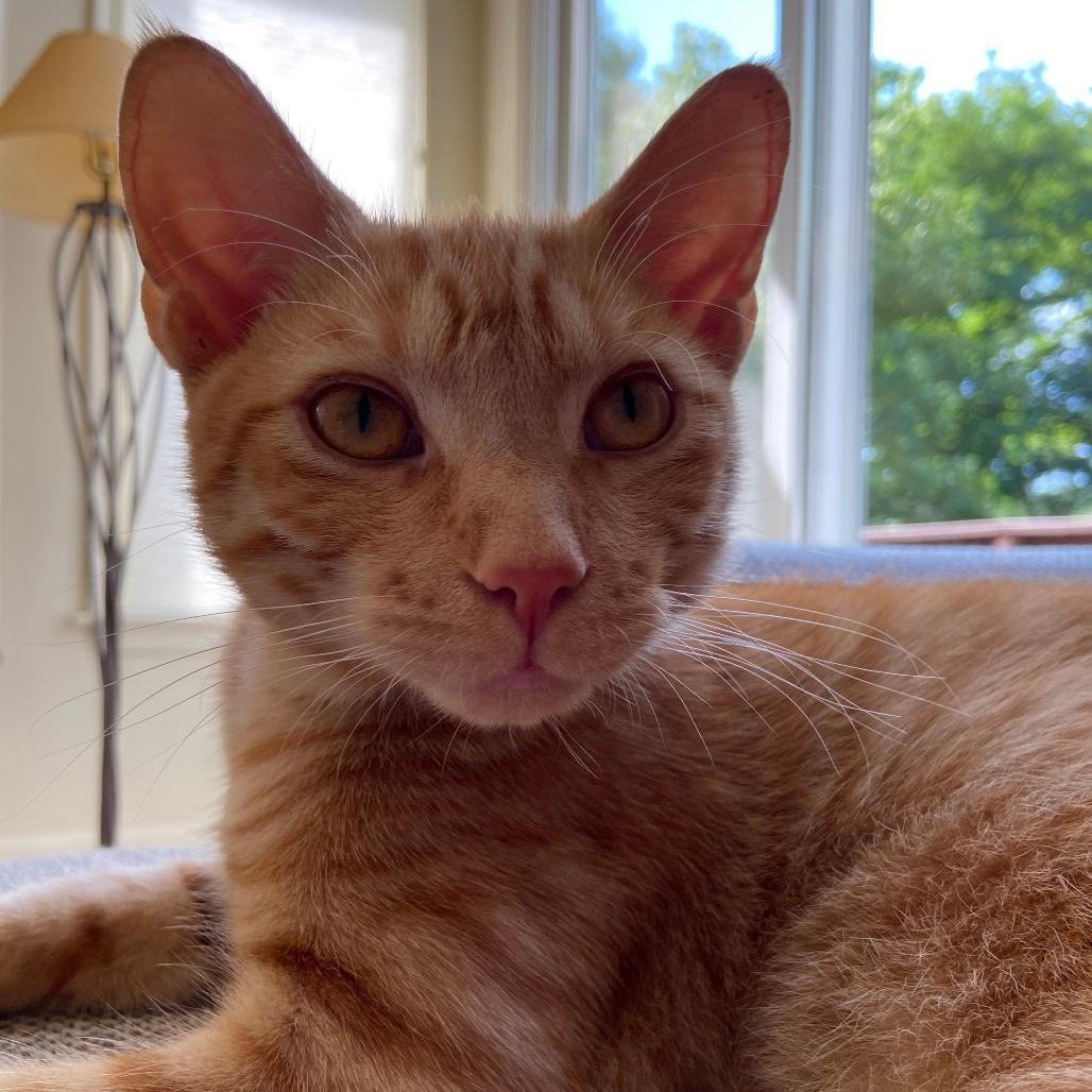 Monty