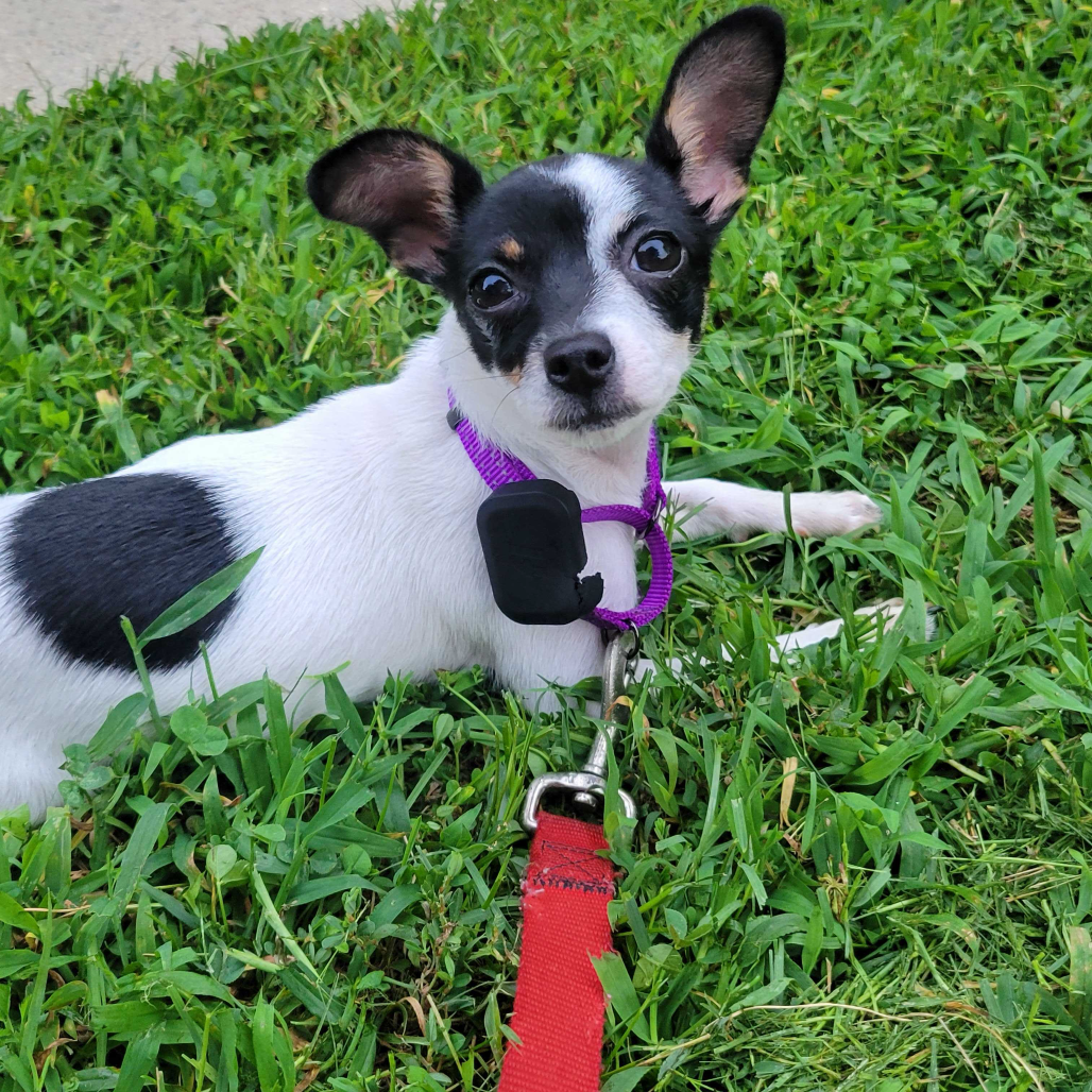 Darcy Claire