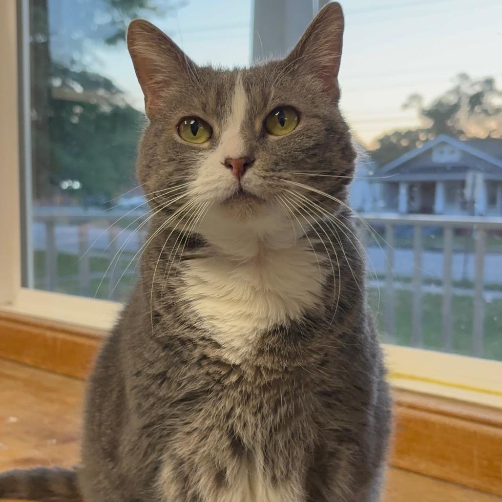 Ellie Mae