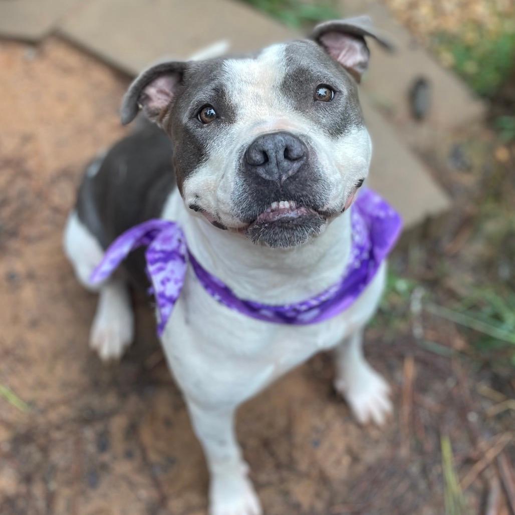 Miss Molly