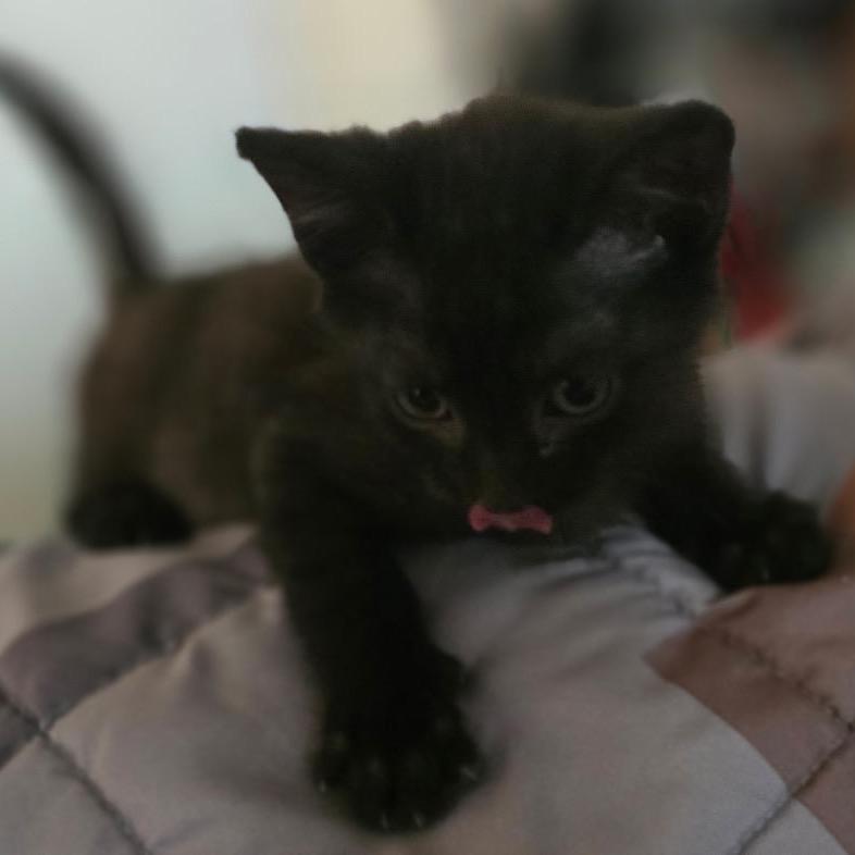 Tiny Tim