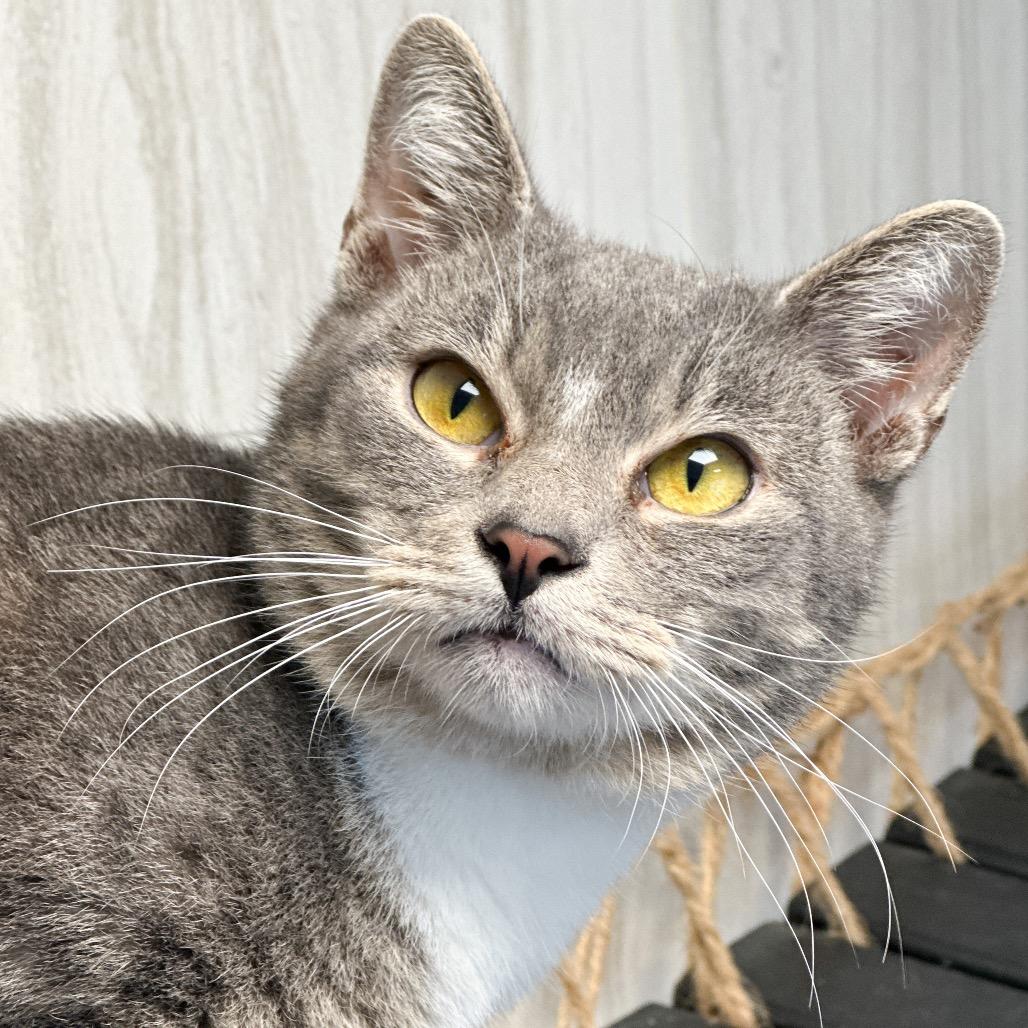 Max