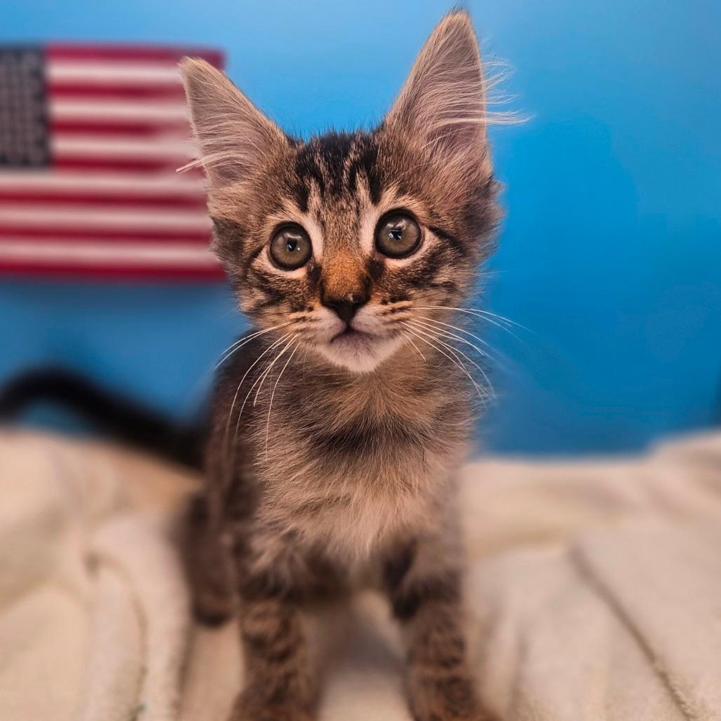 Liberty