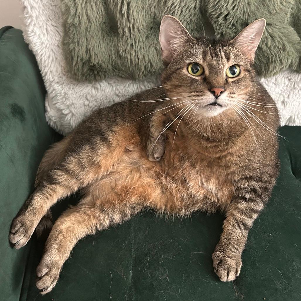 Parker-In foster