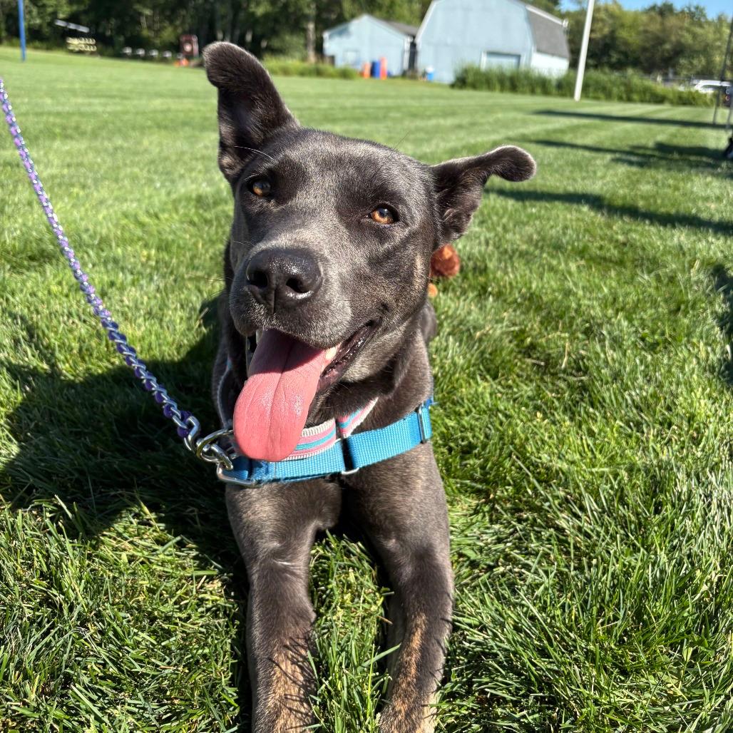 Milly Noon