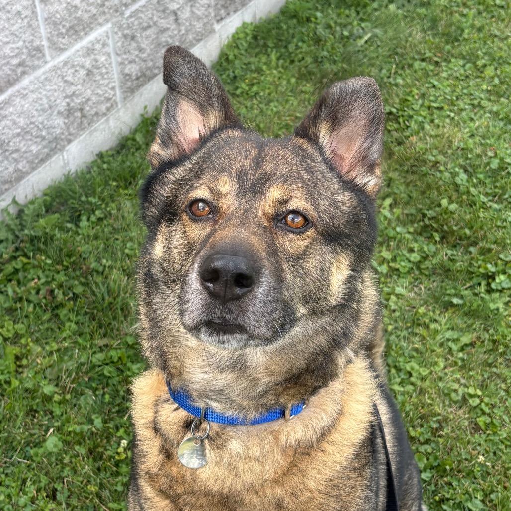 Zeus