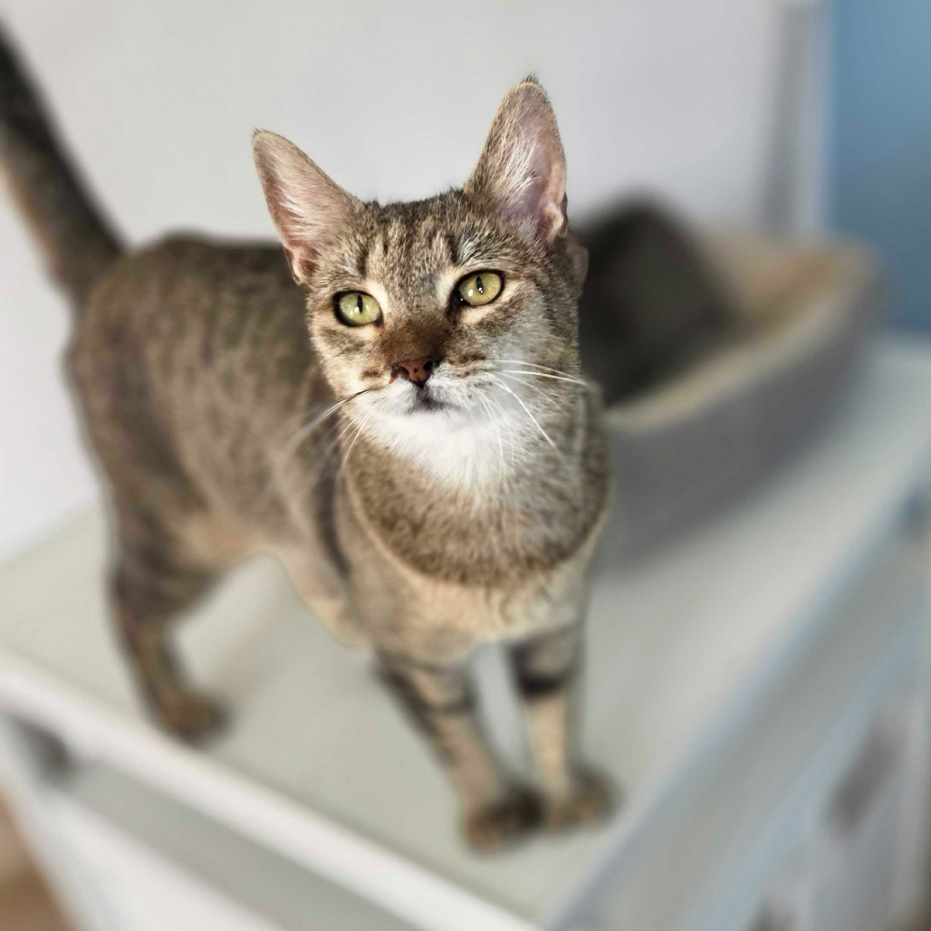 Sophie