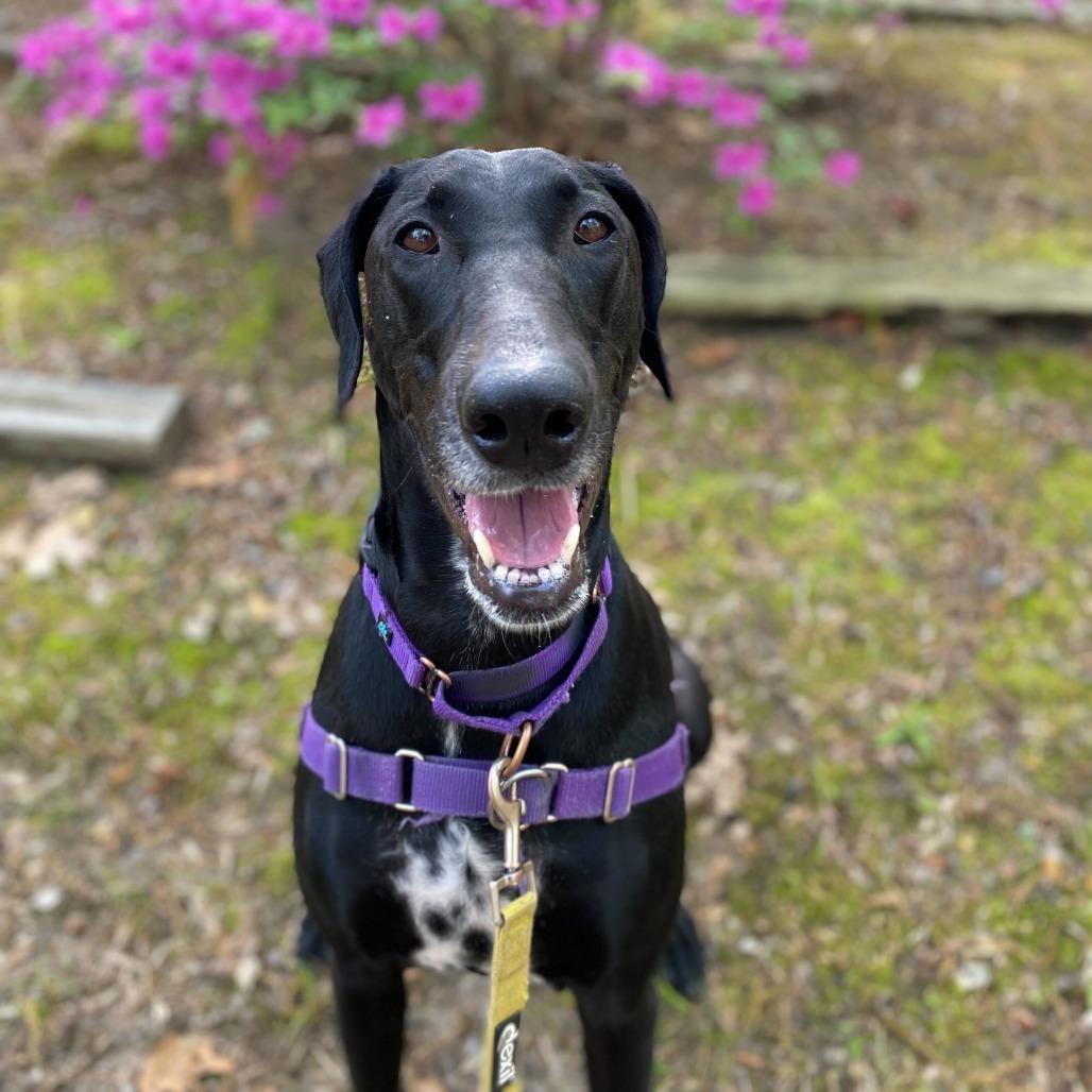 Molly