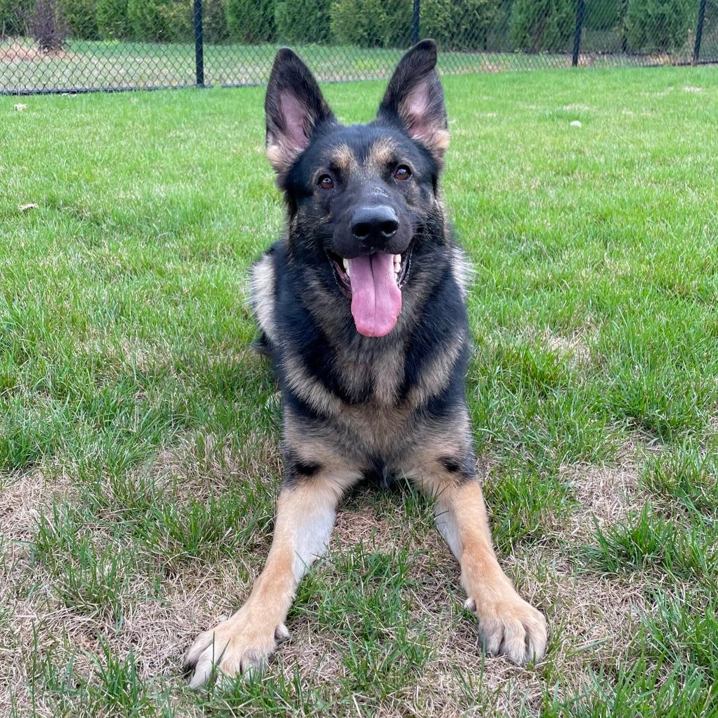 Ranger
