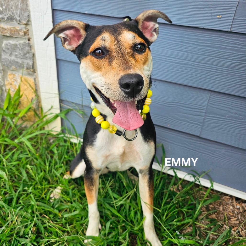 Monroe (Emmy)