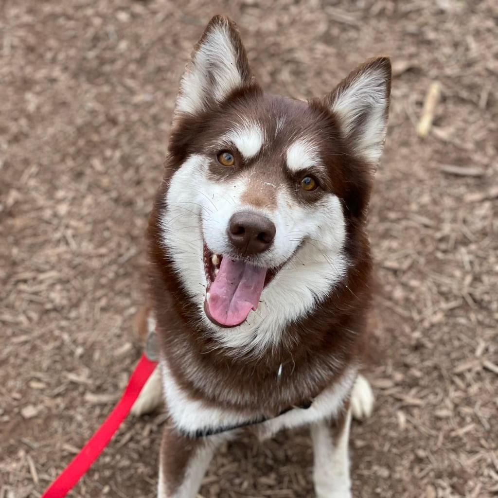 Alaska (FKA Shiloh)