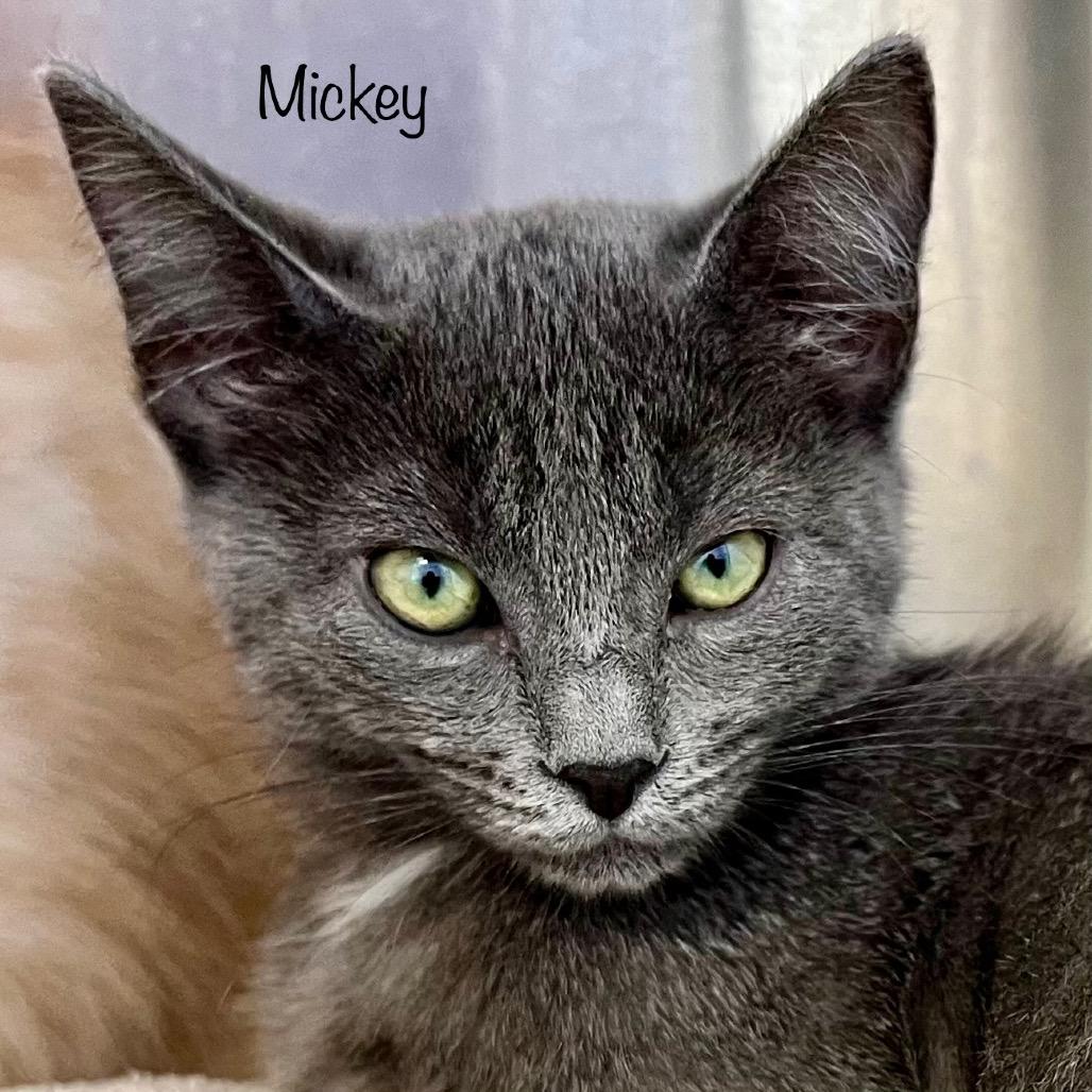 Mickey