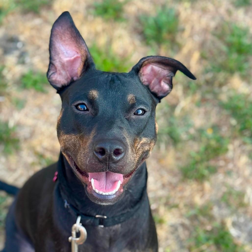 Nyx