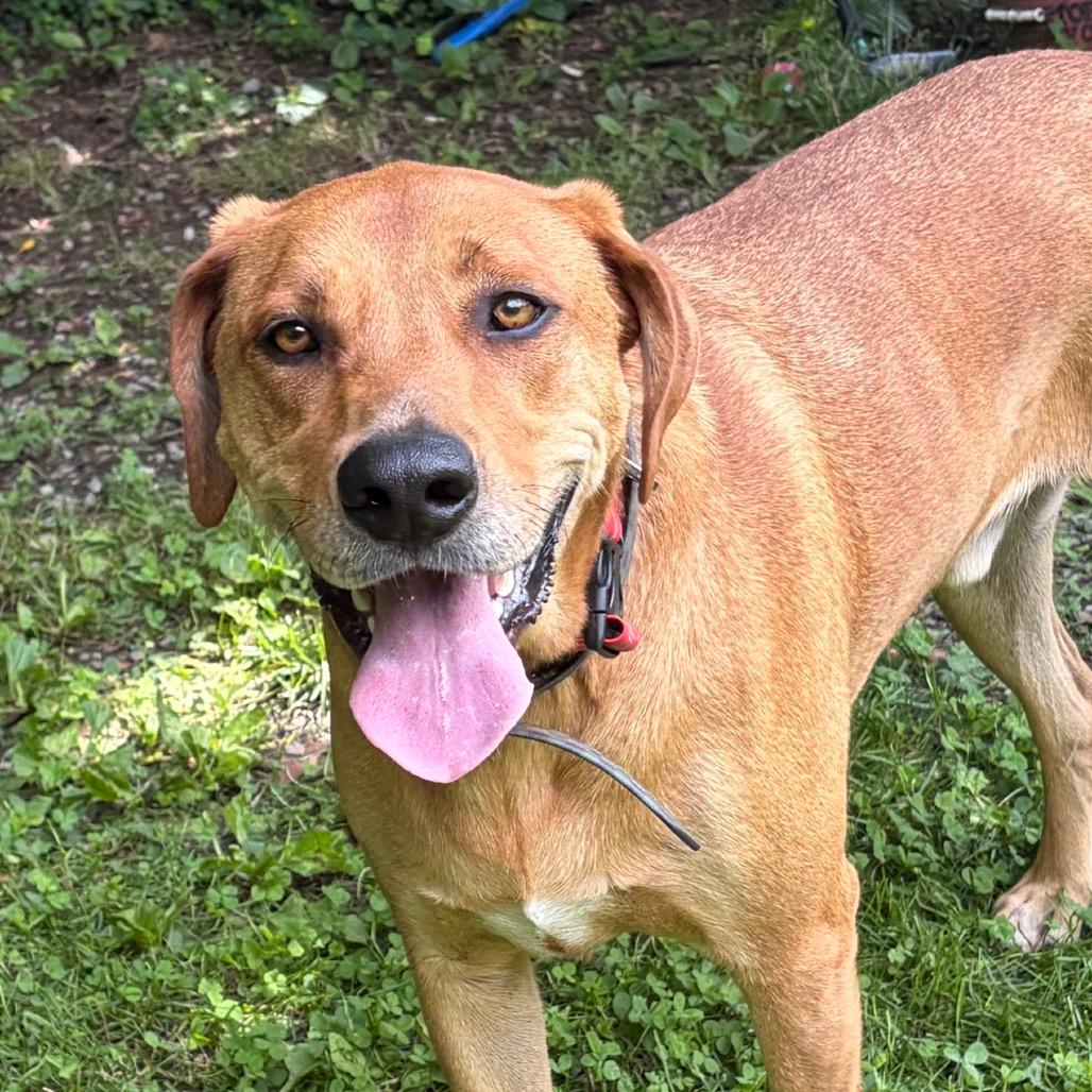 Duke