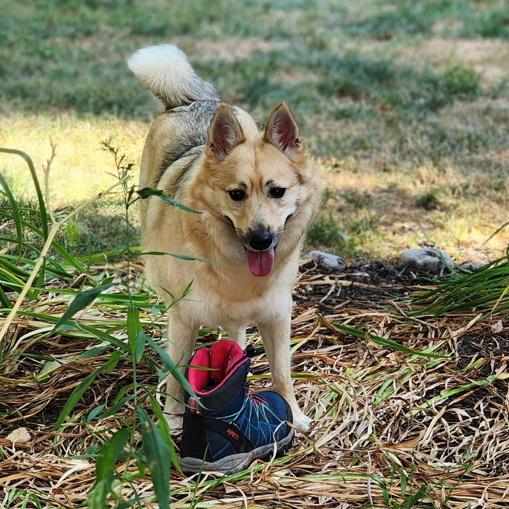 Max