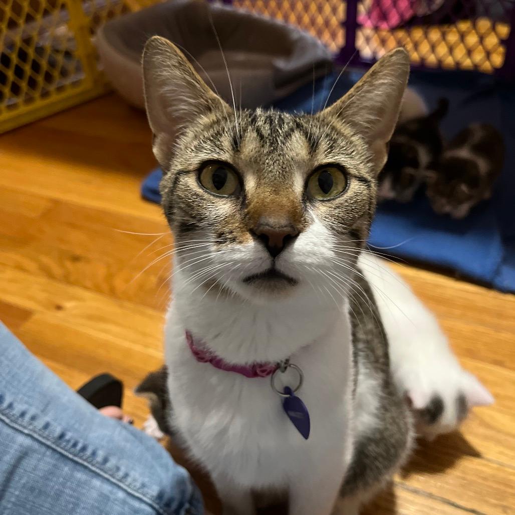 Precious