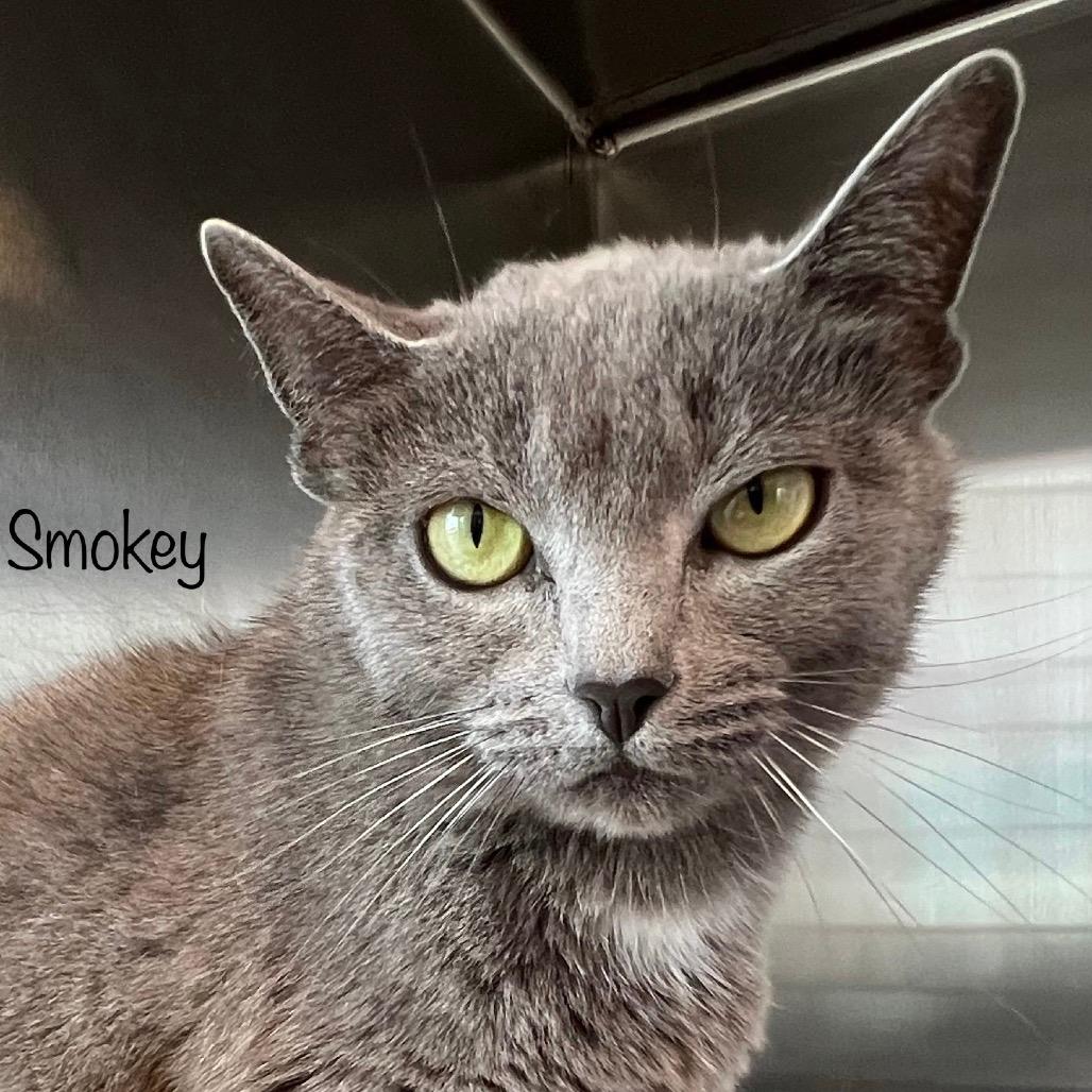 Smokey