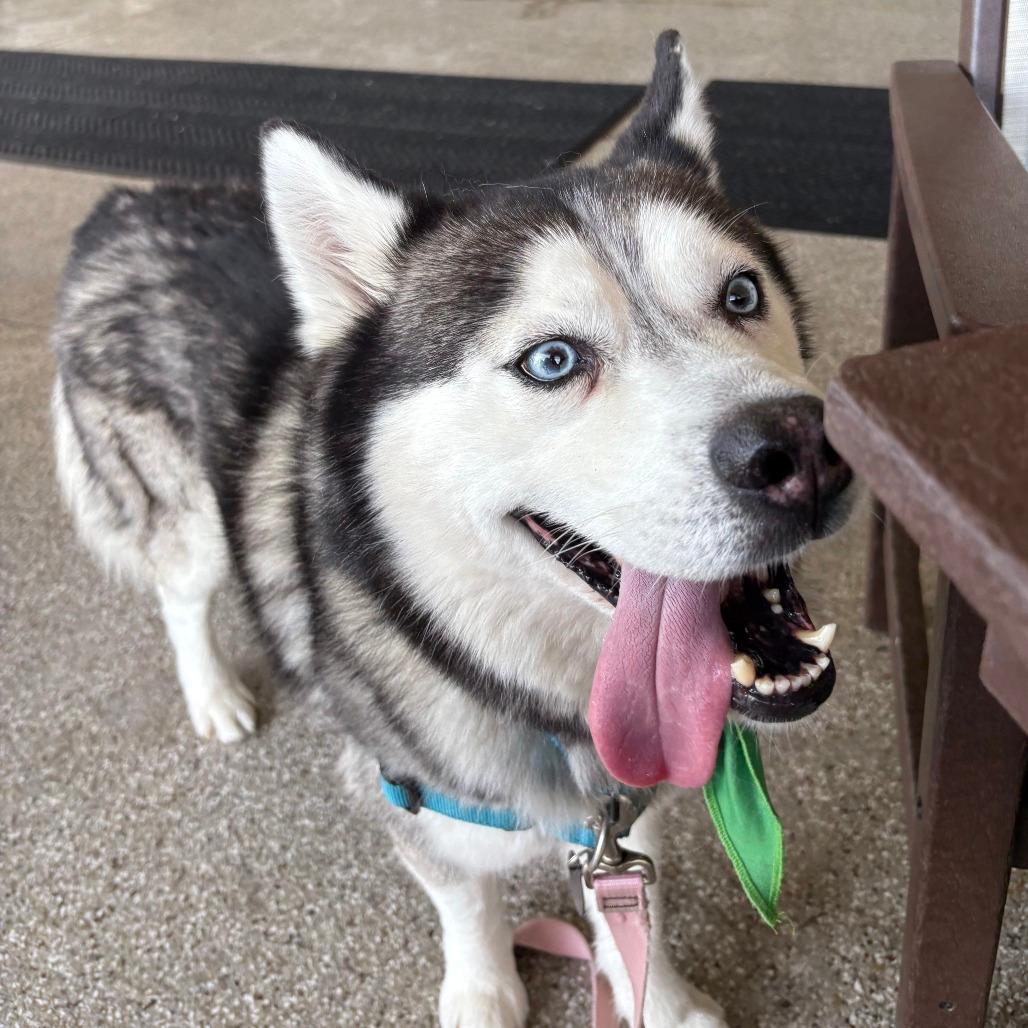 Axel