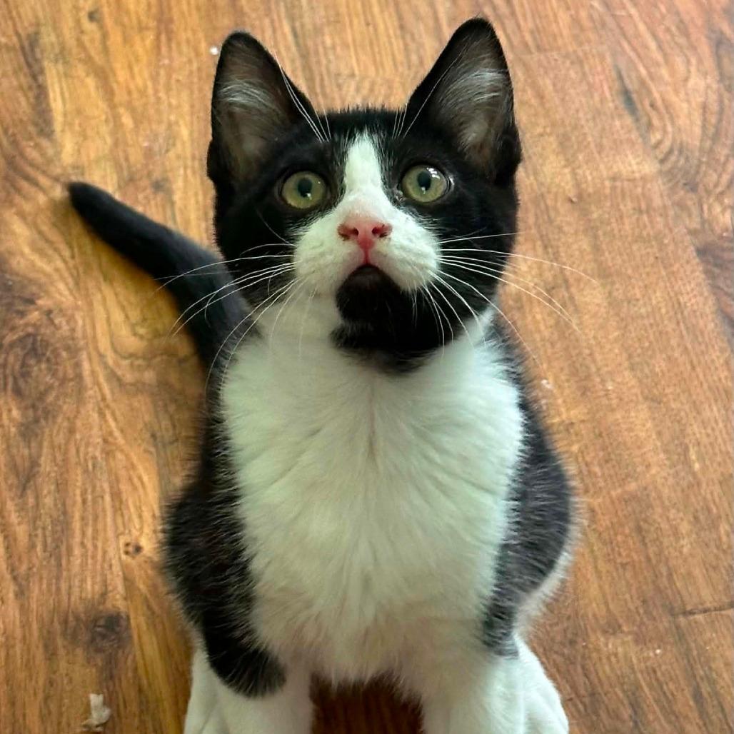 Ben