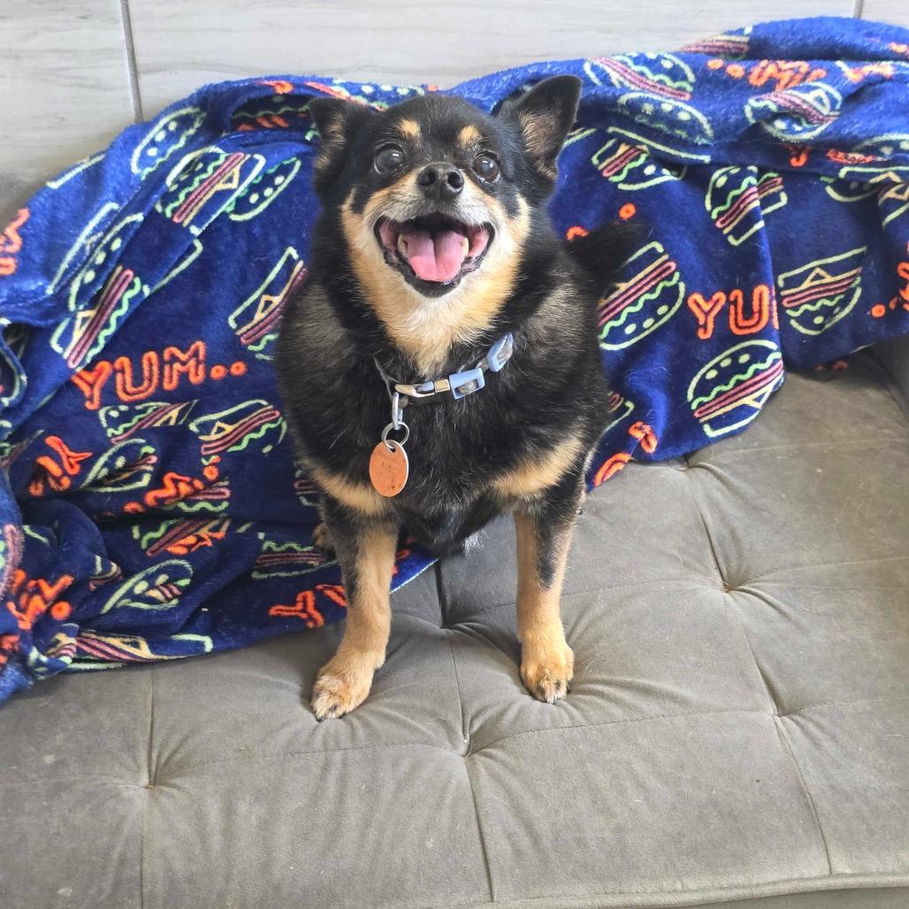 Little Roscoe