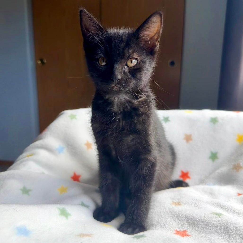 Tiny