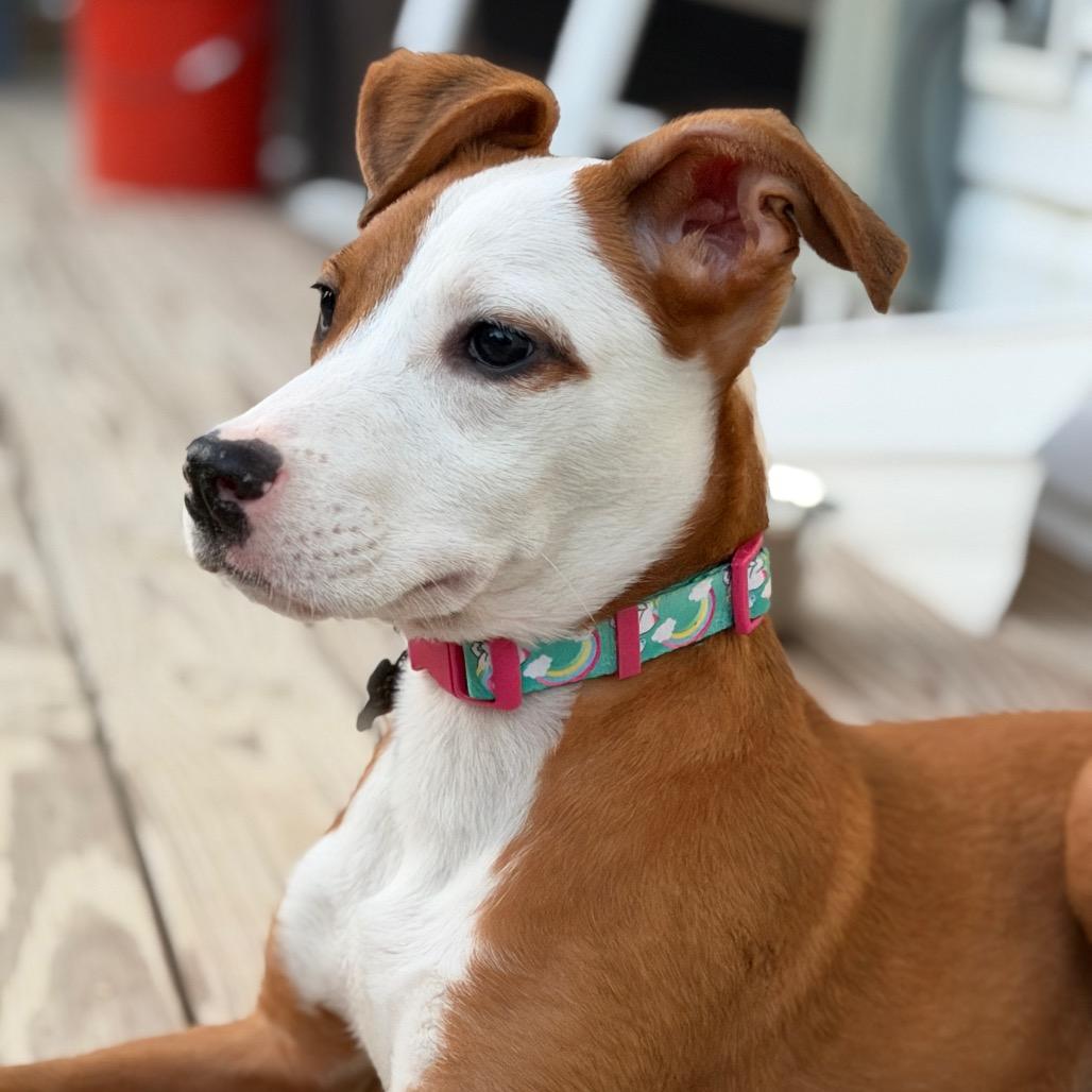 Zoe