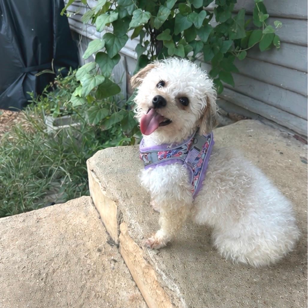 Esmie