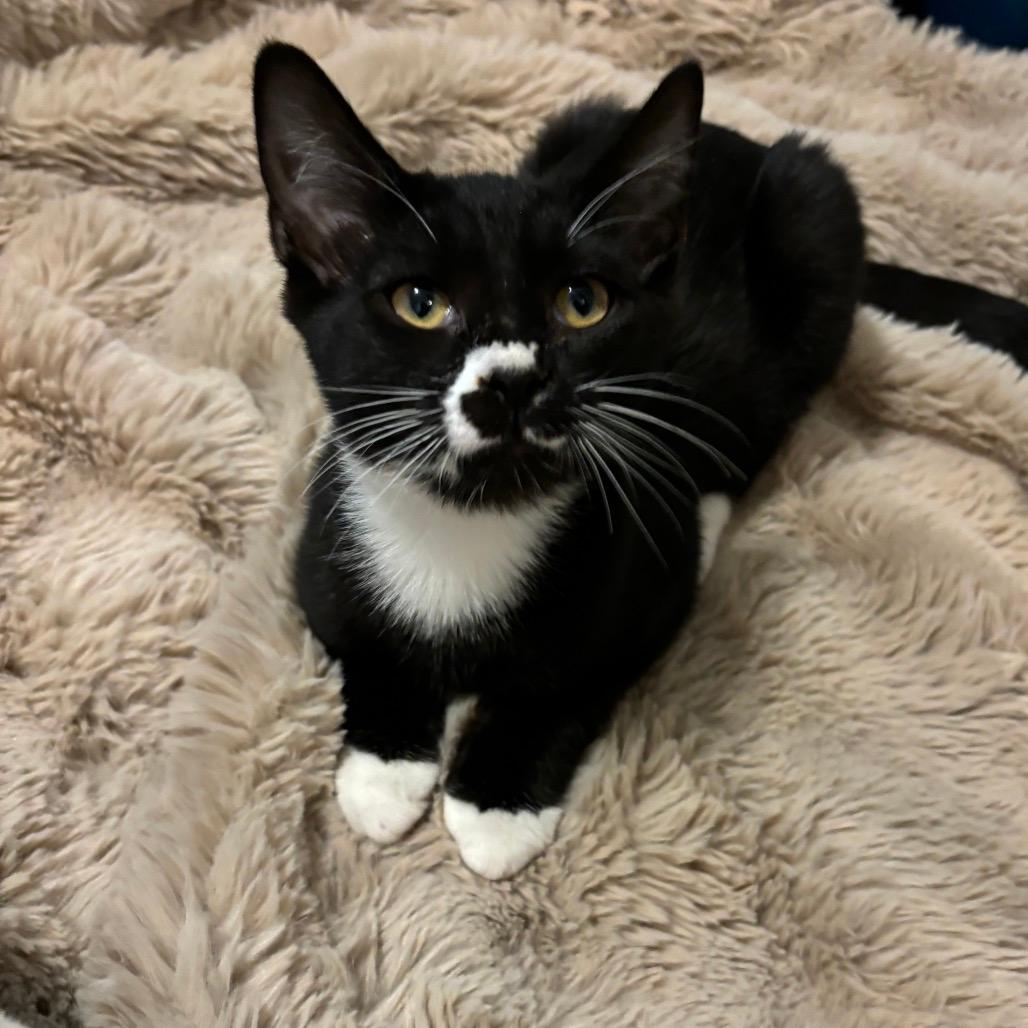 Diego