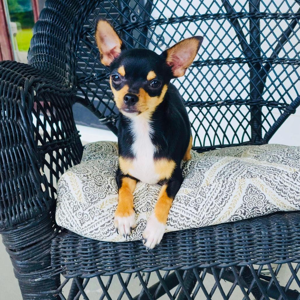 Spunky