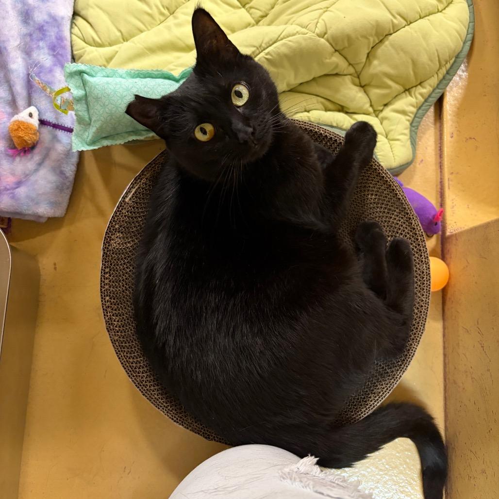 Tilly, bonded with Bing Bong