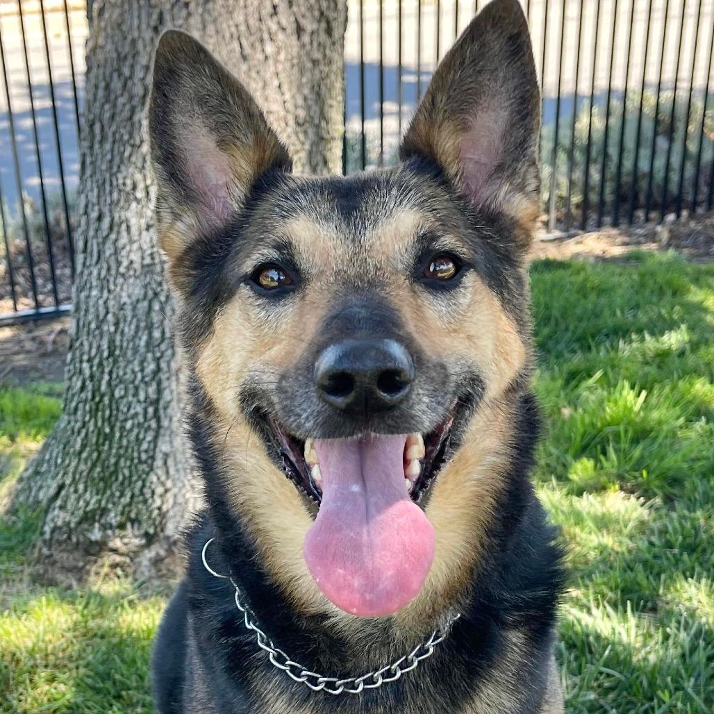 Winnie - ECAS
